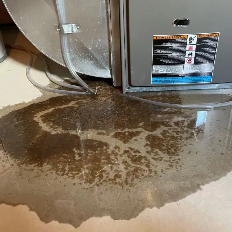Pipe Burst and Leak Restoration in Owen County, KY