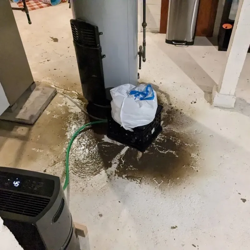 Sewage Backup Cleanup Service in Owen County, KY